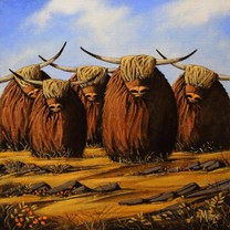 Five coos