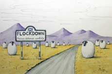 1. Flockdown